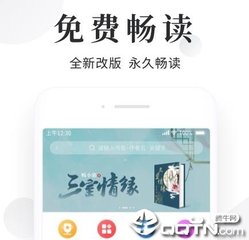 爱游戏是合作意甲